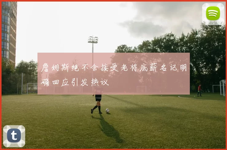 詹姆斯绝不会接受老将底薪名记明确回应引发热议